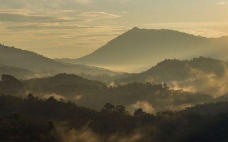 Analisis Pakar: Aktivitas Patahan Penyebab Gempa di Kalimantan Sudah Berusia 165 Juta Tahun