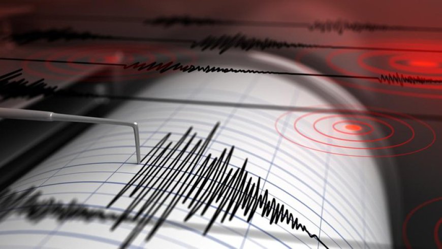 Gempa M 4,8 Guncang Kalsel dan Kalteng, Tidak Berpotensi Tsunami