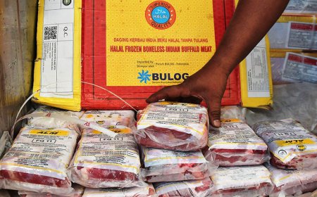 Perkuat Stok Selama Ramadan, Bulog Kalsel Datangkan Daging Kerbau India 
