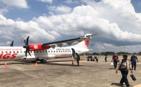 Menjelang Mudik 2024, Wings Air Tutup Penerbangan Batulicin-Makassar