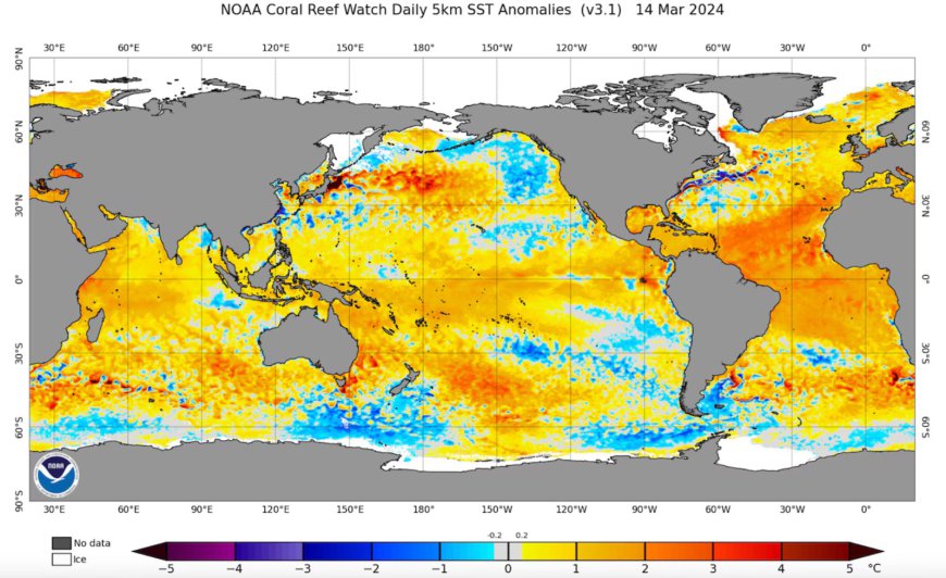 El Nino Akan Digantikan La Nina, Simak Penjelasan BMKG