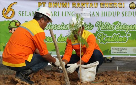 Peringati Hari Lingkungan Hidup Sedunia, PT BRE Lampaui Target Penanaman Pohon
