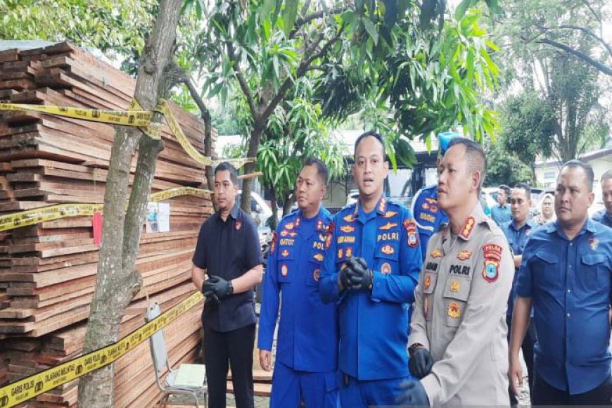 Polda Kalsel Bongkar Bisnis Kayu Perambahan Hutan Kalteng