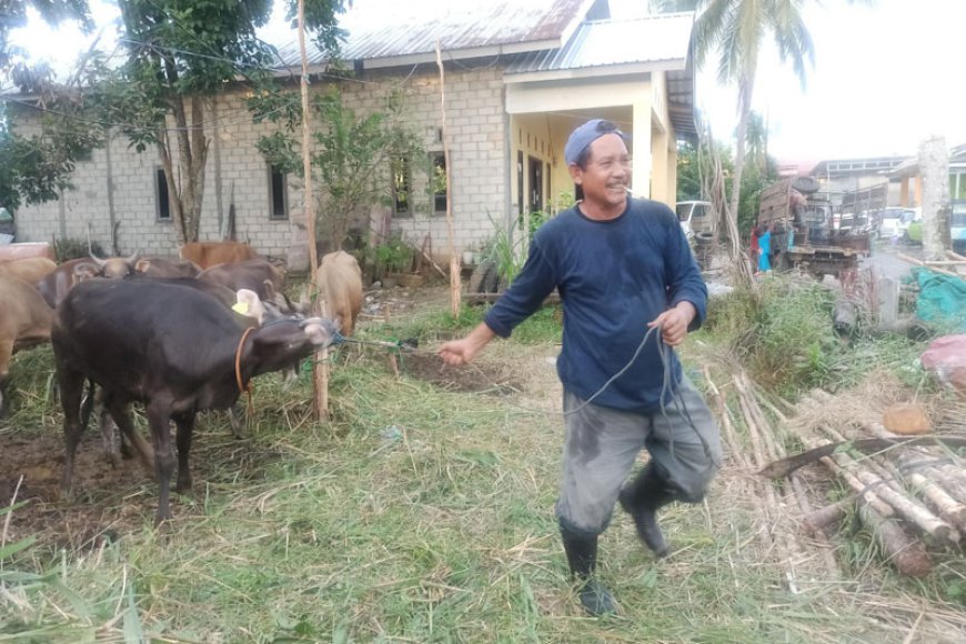 Momen Iduladha 1445 Hijriah, Lisa Halaby Berbagi Sapi Kurban Kepada Warga Banjarbaru