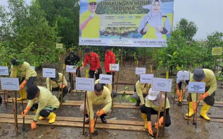 Peringatan Hari Lingkungan Hidup Sedunia 2024, Pemprov Kalsel Tanam Ribuan Mangrove di Tanbu