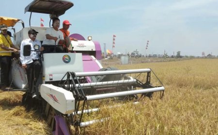 DPRD Sambut Positif Visi RPJPD Batola 2025-2045 Berbasis Agroindustri