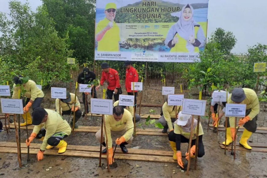 Peringatan Hari Lingkungan Hidup Sedunia 2024, Pemprov Kalsel Tanam Ribuan Mangrove di Tanbu