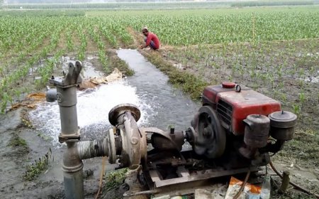 Atasi Kekeringan, Kementerian Pertanian Buka Kontak Darurat Pompa Untuk Petani