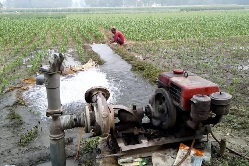 Atasi Kekeringan, Kementerian Pertanian Buka Kontak Darurat Pompa Untuk Petani