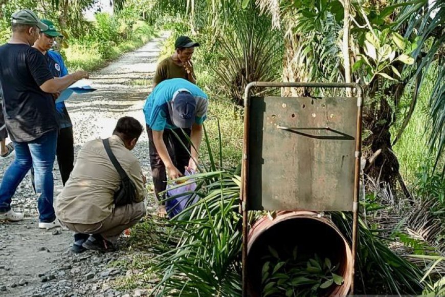 BKSDA Kalsel Terus Pantau Beruang Madu di Kuripan Batola