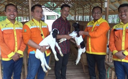 Dukung Ketahanan Pangan dan Agrowisata, Inilah Gebrakan PT BRE di Lokpaikat Tapin