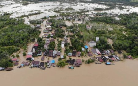 Banjir Berulang di Kalteng, Alih Fungsi Lahan Menjadi Penyebab