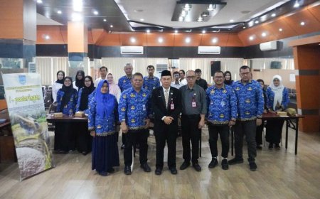 Aplikasi I-Padaringan, Cara DKPP Banjar Atasi Simpang Siur Info Harga Pangan