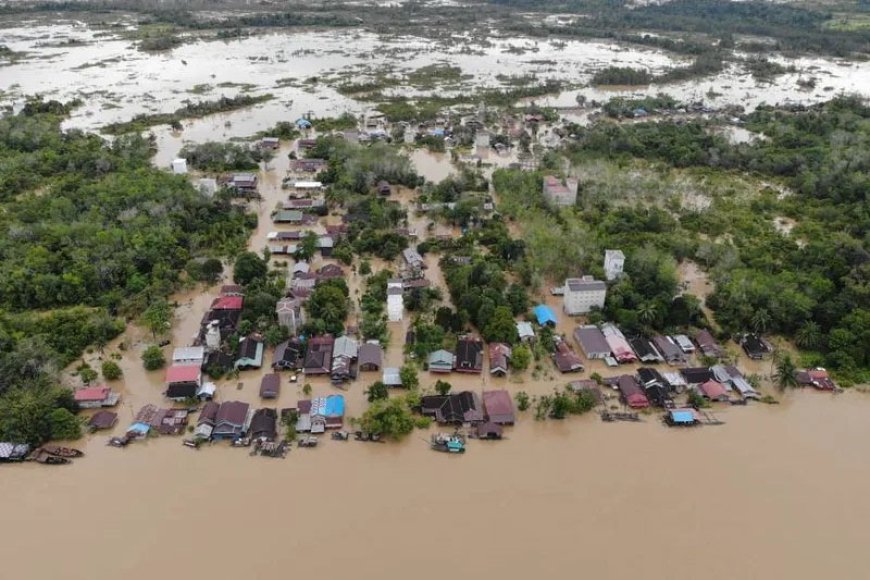 Banjir Berulang di Kalteng, Alih Fungsi Lahan Menjadi Penyebab