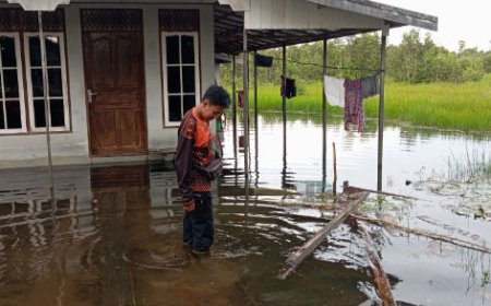 Sejumlah Desa di Mandastana Batola Mulai Dilanda Banjir