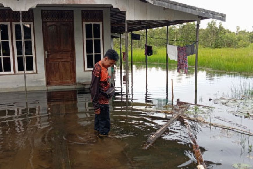 Sejumlah Desa di Mandastana Batola Mulai Dilanda Banjir