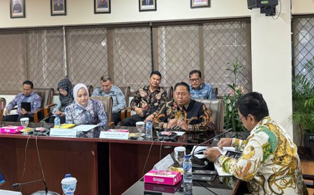 Bertemu Wakil Menteri Transmigrasi, DPRD Batola Bahas Pengembangan Cahaya Baru