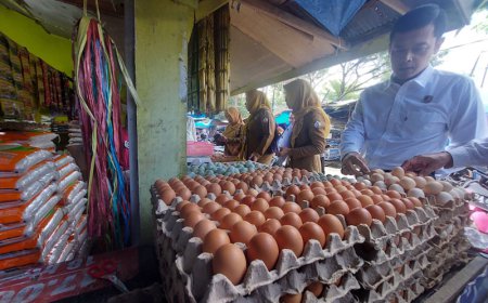 Antisipasi Lonjakan Harga Bahan Pokok, Satgas Pangan Polres Batola Sidak Pasar
