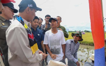 Respons Kesulitan Petani, Menteri Pertanian Copot Jabatan Pimwil Bulog Kalsel