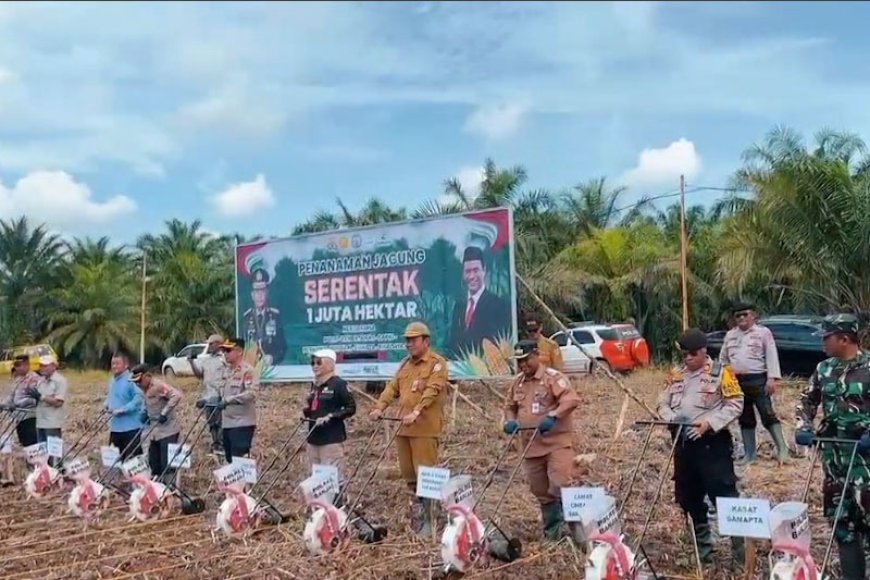 Dukung Program Ketahanan Pangan di Banjar, PT Palmina Utama Sediakan 5 Hektare Lahan