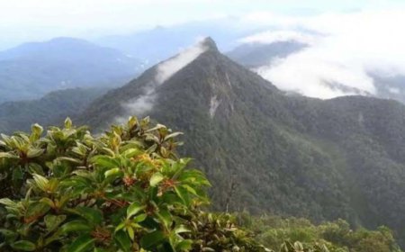 Kembali Dibuka, Ratusan Pendaki Mulai Memadati Gunung Halau-Halau HST