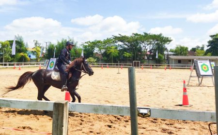 Sukses di PON 2024, Pordasi Kalsel Gelar Kejurprov Perdana