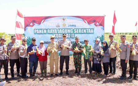 Dukung Swasembada Pangan, Polres Batola Panen Raya Jagung di Bakumpai