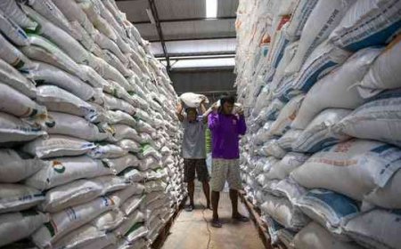 Terdampak Kenakalan Pengusaha Beras, Konsumen Dirugikan Puluhan Triliun