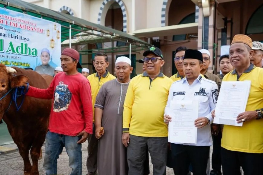 Presiden Beli Sapi Warga Tapin, Harganya Bikin Senyum Lebar