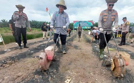 Memanfaatkan Lahan Perhutanan Sosial, Polres Batola Ikuti Penanaman Jagung Serentak