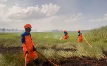 Dampak Kelalaian Oknum, 2 Titik Karhutla Ditemukan di Banjarbaru