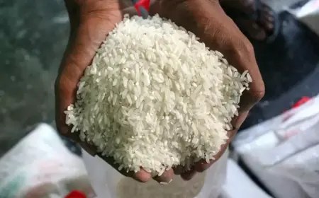 Bukan di Pasar Tradisional, Disdag Kalsel Temukan Beras Oplosan di Retail Modern