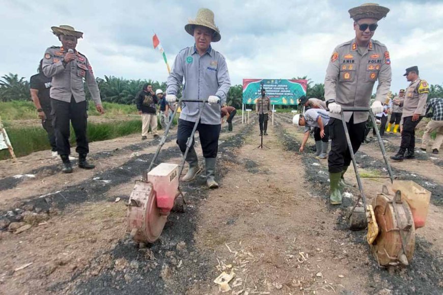 Memanfaatkan Lahan Perhutanan Sosial, Polres Batola Ikuti Penanaman Jagung Serentak