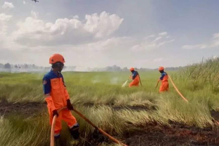 Dampak Kelalaian Oknum, 2 Titik Karhutla Ditemukan di Banjarbaru
