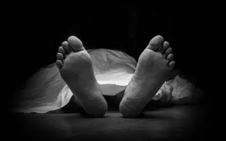 Ngeri! Seorang Kernet Tewas Terjepit Kontainer di Pelabuhan Trisakti Banjarmasin