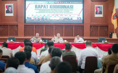 Antisipasi Dampak Karhutla, Kalsel Pasang Status Siaga Darurat