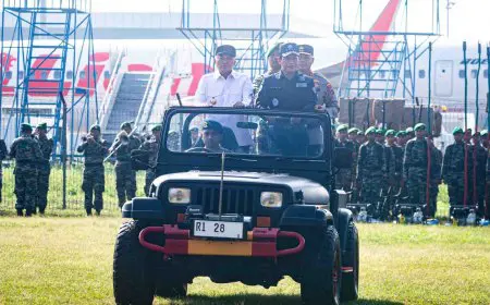 Menteri Lingkungan Hidup Wanti-wanti Pelaku Pembakaran Lahan di Kalsel