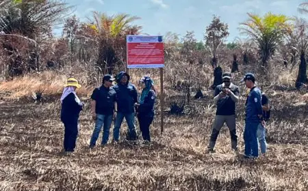 Diduga Terlibat Kebakaran Hutan dan Lahan, KLH Proses Hukum PT SSM di Banjar