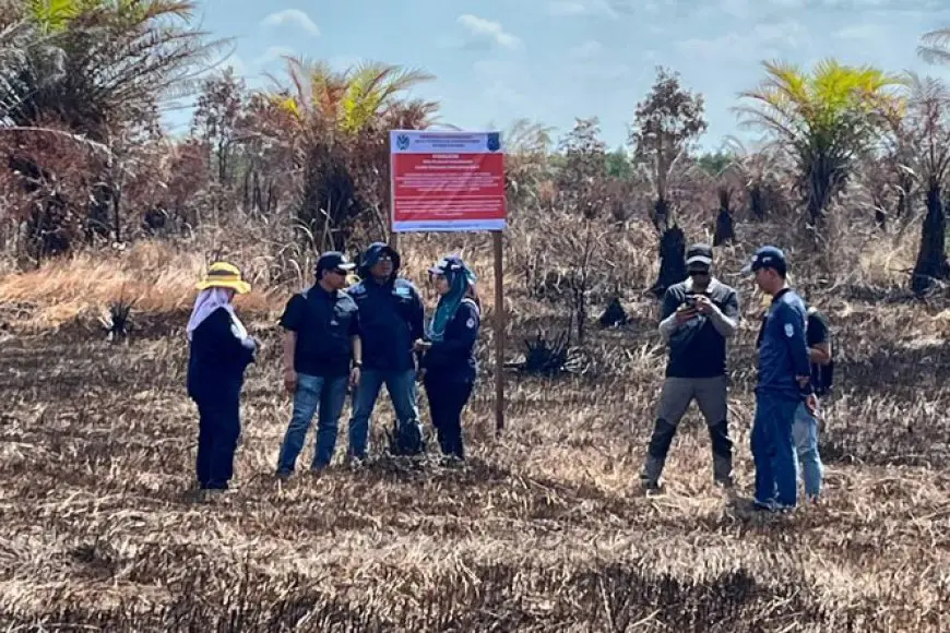 Diduga Terlibat Kebakaran Hutan dan Lahan, KLH Proses Hukum PT SSM di Banjar