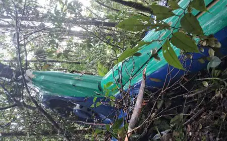 Dipastikan Jatuh di Mantewe Tanbu, Badan Helikopter EastIndo Berhasil Ditemukan