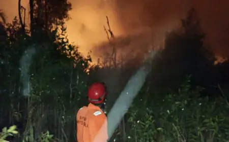 Hingga Tengah Malam, BPBD dan Relawan Berjibaku Melawan Karhutla di Jejangkit Batola