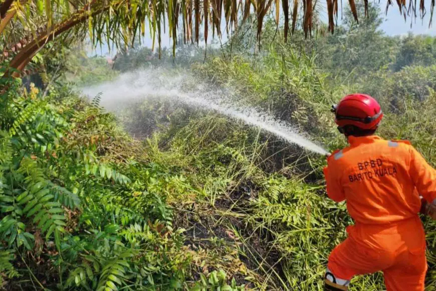 Karhutla di Kalsel Meluas, BPBD Mengerahkan Armada Udara dan Darat
