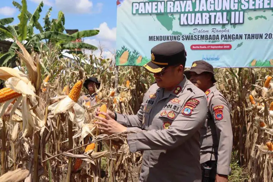 Polres Batola Gandeng Petani Wanaraya, Panen Raya Jagung Serentak