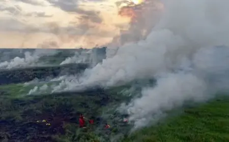 Musim Hujan Tiba, Pemprov Kalsel Cabut Status Siaga Darurat Karhutla
