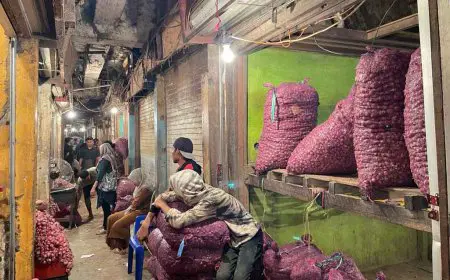 Langkah Cepat Pemprov Kalsel Redam Potensi Inflasi Akibat Kenaikan Harga Bawang