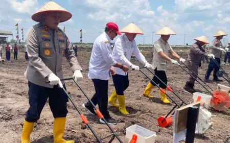 Polda Kalsel Menjadi Role Model Penanaman Jagung, Target Panen 3.000 Ton di Lahan Basah