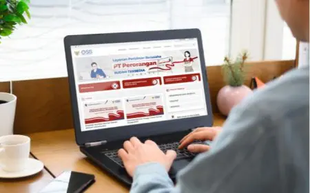 Kalsel Siap Mewujudkan Pelayanan Publik Tanpa Batas Lewat MPP Virtual