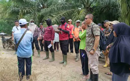 Gugatan Petani Sawit di Wanaraya Batola Melawan PT AW Ditolak