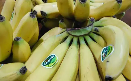 Gara-gara Pisang, Dua Pria di HST Menjadi Tersangka Korupsi Rp441 Juta