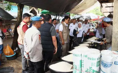 Harga Beras Masih di Atas HET, Satgas PHB Kalsel Bina Distributor